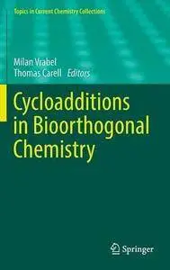 Cycloadditions in Bioorthogonal Chemistry