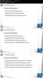 Microsoft Dynamics 365 (CRM, NAV, AX) Intro Training Course