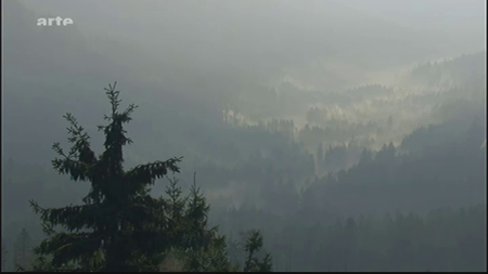 (Arte) La magie de la Forêt-Noire (2011)