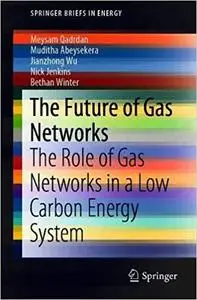 The Future of Gas Networks in Low Carbon Energy Systems Ed 202