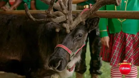 Santa Bootcamp (2022)