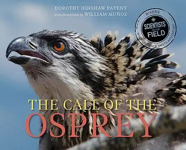 «The Call of the Osprey» by Dorothy Hinshaw Patent