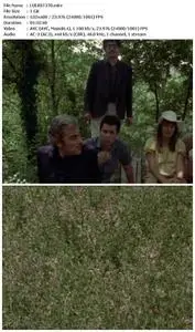 Wind from the East (1970)