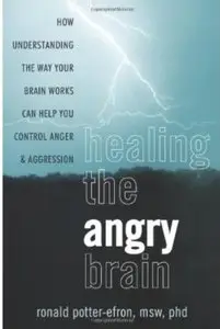 Healing the Angry Brain: How Understanding the Way Your Brain Works Can Help You Control Anger & Aggression