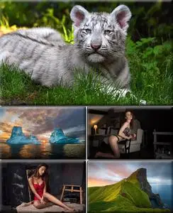 Computer Desktop Wallpapers Collection. Part (2042)