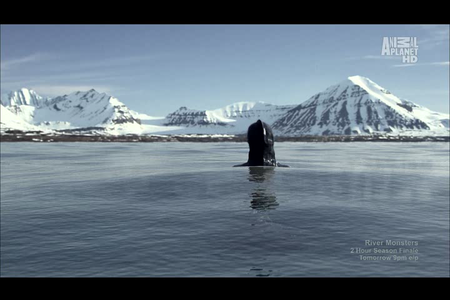 Mermaids: The Body Found (2011)