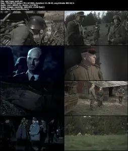 Brothers War (2009)