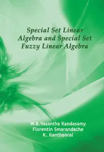 Special Set Linear Algebra and Special Set Fuzzy Linear Algebra Perfect
