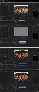 Premiere Pro Mastery Course: Learn Premiere Pro by Creating