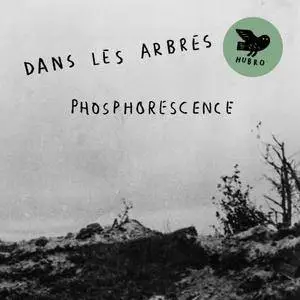 Dans Les Arbres - Phosphorescence (2017) [Official Digital Download 24bit/96kHz]