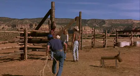 City Slickers (1991)