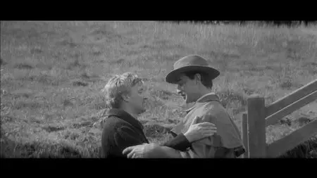Jules and Jim (1962) [The Criterion Collection #281] [Re-UP]
