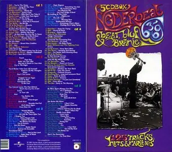 VA - Nederbeat 63-69: Beat, Blues & Branie (2001) [Box Set]