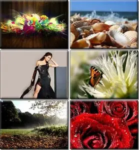 Amazing Desktop Wallpapers (11)