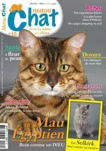 Matou Chat - Février-Mars 2016
