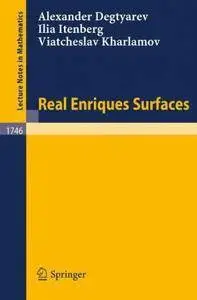 Real Enriques Surfaces (Repost)