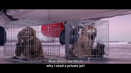 Chien et chat / Cat and Dog (2024)