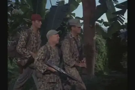 Ambush Bay (1966)