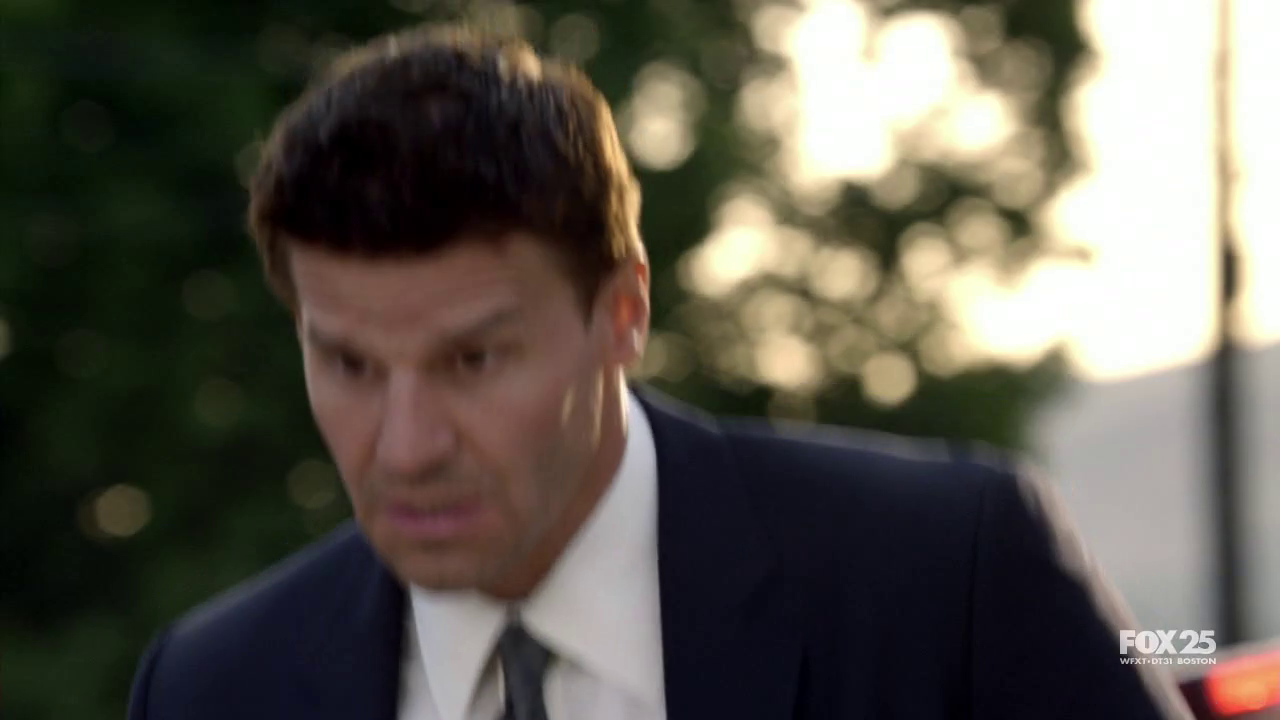 Bones S05E03 The Plain in the Prodigy