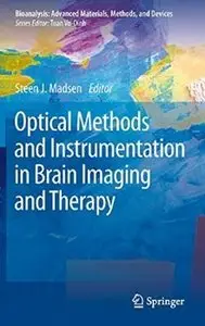 Optical Methods and Instrumentation in Brain Imaging and Therapy (Repost)