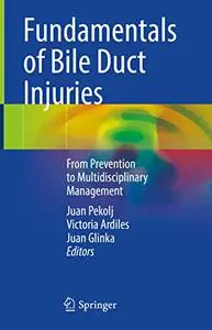 Fundamentals of Bile Duct Injuries: From Prevention to Multidisciplinary Management