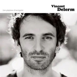 Vincent DELERM - Les Piqûres d'araignée 2006  
