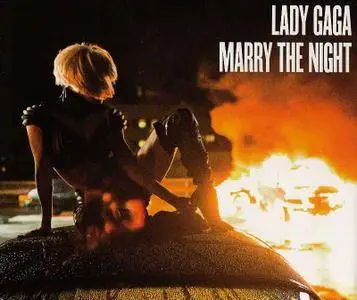 Lady GaGa - Born This Way: Singles Collection (2011)