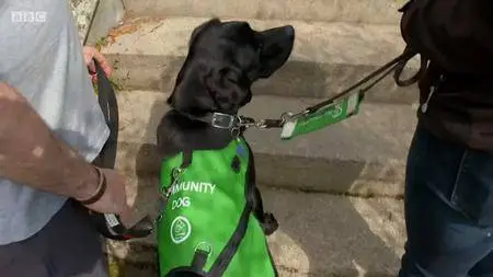 BBC - Countryfile Spring Diaries: Series 3 (2018)