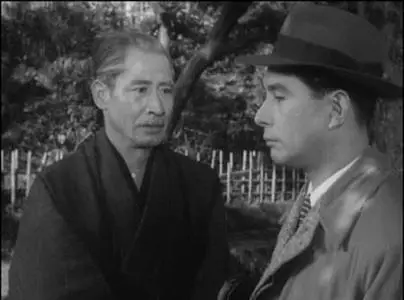 Mikio Naruse-Yama no oto ('Sound of the Mountain') (1954)