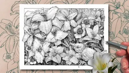 Draw a Detailed and Harmonious Lily Garden in Pen and Ink