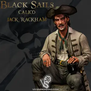 VS3D - Jack Rackham - 3D Print Model
