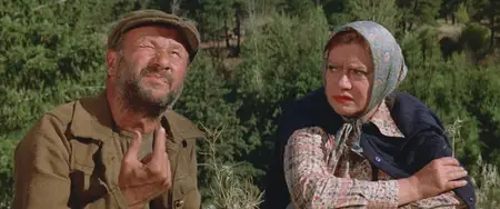The Rainbow Boys (1973)