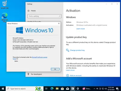 Windows 10 Pro 22H2 build 19045.5011 Preactivated Multilingual October 2024