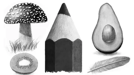 Learn to Draw Realistic Objects with Pencil