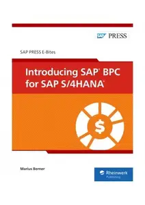 Introducing SAP BPC for SAP S/4HANA