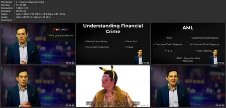 Financial Crime: Processes & Technology - Masterclass