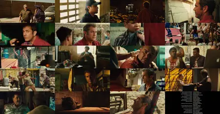 Get the Gringo (2012)