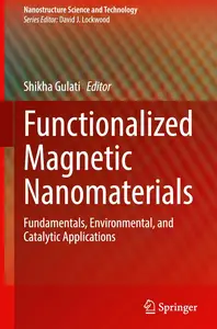 Functionalized Magnetic Nanomaterials