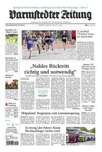 Barmstedter Zeitung - 03. Juni 2019