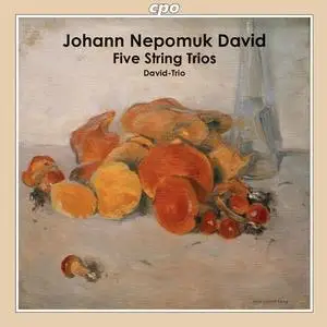 Ober-Österreichisches David-Trio - David 5 String Trios (2021)