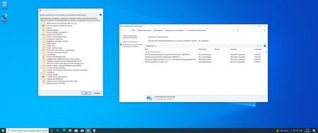 Windows 10 version 21H1 Build 19043.1165 Business & Consumer Editions