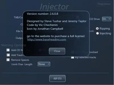 BaseHead Injector PC 2.6.0.8