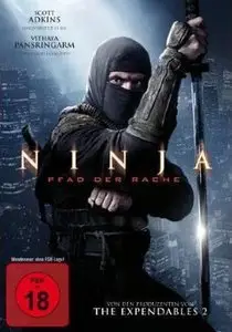 Ninja: Shadow of a Tear (2013)