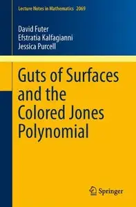 Guts of Surfaces and the Colored Jones Polynomial (repost)