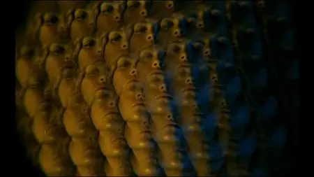 La prisonniere / Woman in Chains (1968)