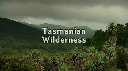 AG Best of Australia - Tasmanian Wilderness (2006)
