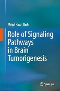 Role of Signaling Pathways in Brain Tumorigenesis