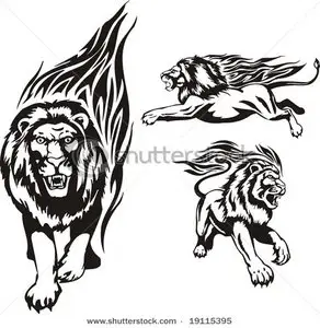 Vector about lion and tiger 1