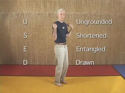 Postural Rejuvenation - Support you joints - Extend your youth by Michael Tonetti