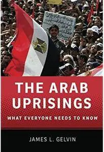 The Arab Uprisings: What Everyone Needs to Know [Repost]